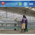 Automatic Poultry Cage for Chicken Feeding